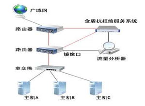 中新軟件抗拒絕服務解決方案 程麗敏引領(lǐng)網(wǎng)絡(luò)與信息安全軟件開發(fā)